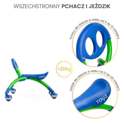 JEŹDZIK BEETLE PURPLE