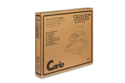 CHODZIK CARIO NAVY