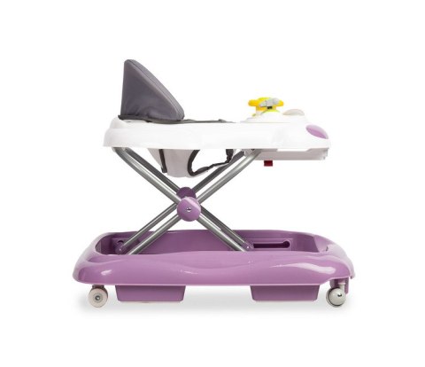 CHODZIK CARIO PURPLE