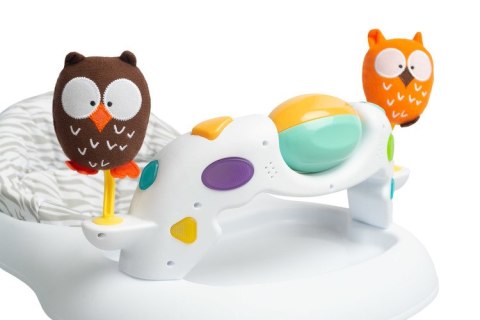CHODZIK OWLS