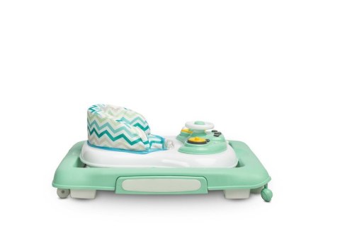 CHODZIK TIMON MINT
