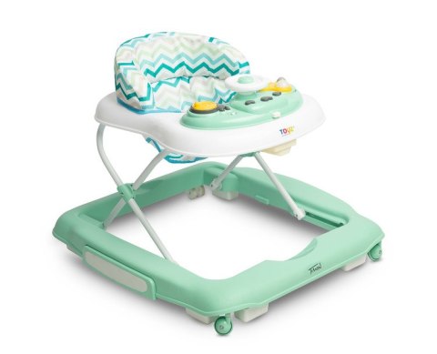 CHODZIK TIMON MINT
