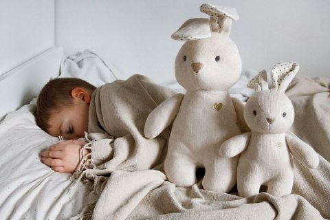 1590 PRZYTULANKA BUNNY 35CM GIO-823L 1590 PRZYTULANKA BUNNY 35CM GIO-823L