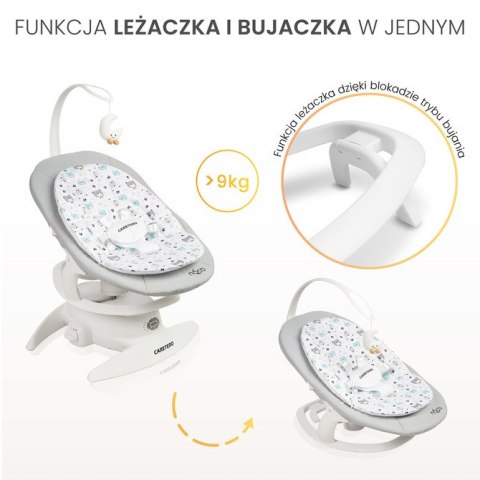 BUJACZEK NOCO GREY