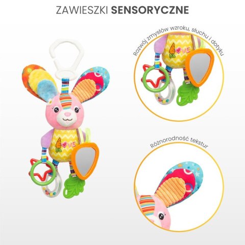COLORFUL GRZECHOTKA PODRÓŻNA KACZKA